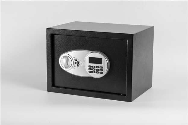 安防产品 (2)
