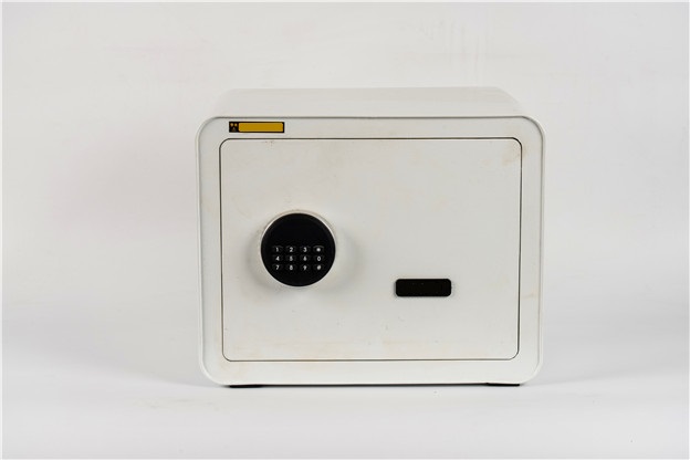 安防产品 (8)